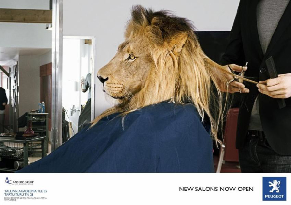 peugeot-showrooms-lion-1024-91698.jpg